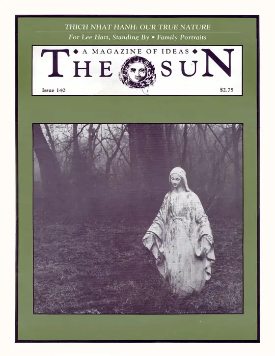 The Sun cover